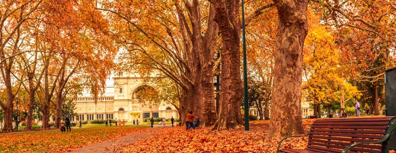 Melbourne In Autumn